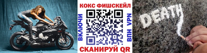 как найти закладки  Кологрив  КОКАИН Эквадор 