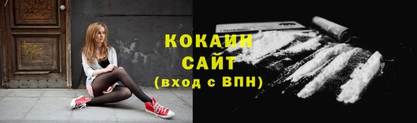 сатива Аркадак