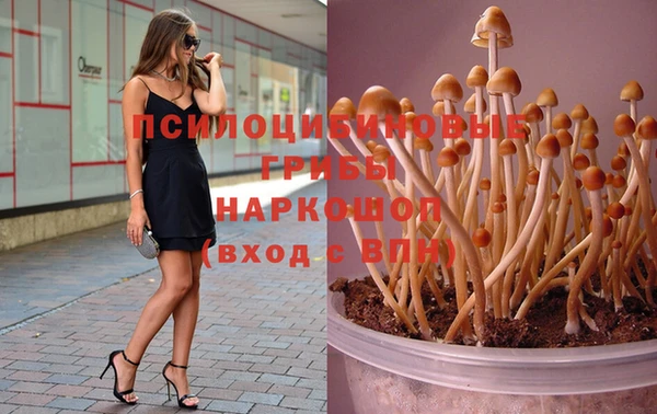прущие грибы Алексин
