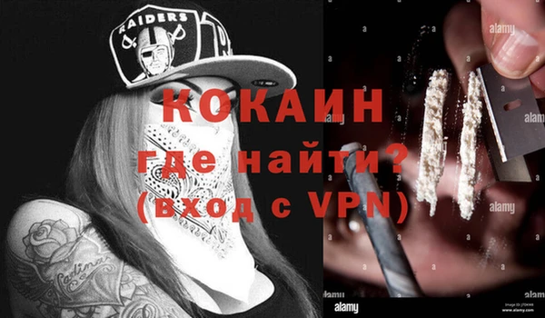 ALPHA PVP Инсар