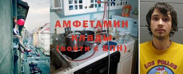 сатива Аркадак