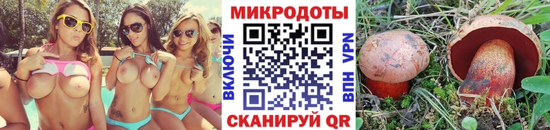 Галлюциногенные грибы мухоморы  Кологрив 